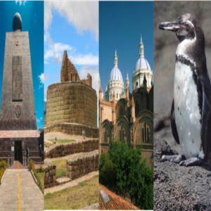 La Exploración Precisa