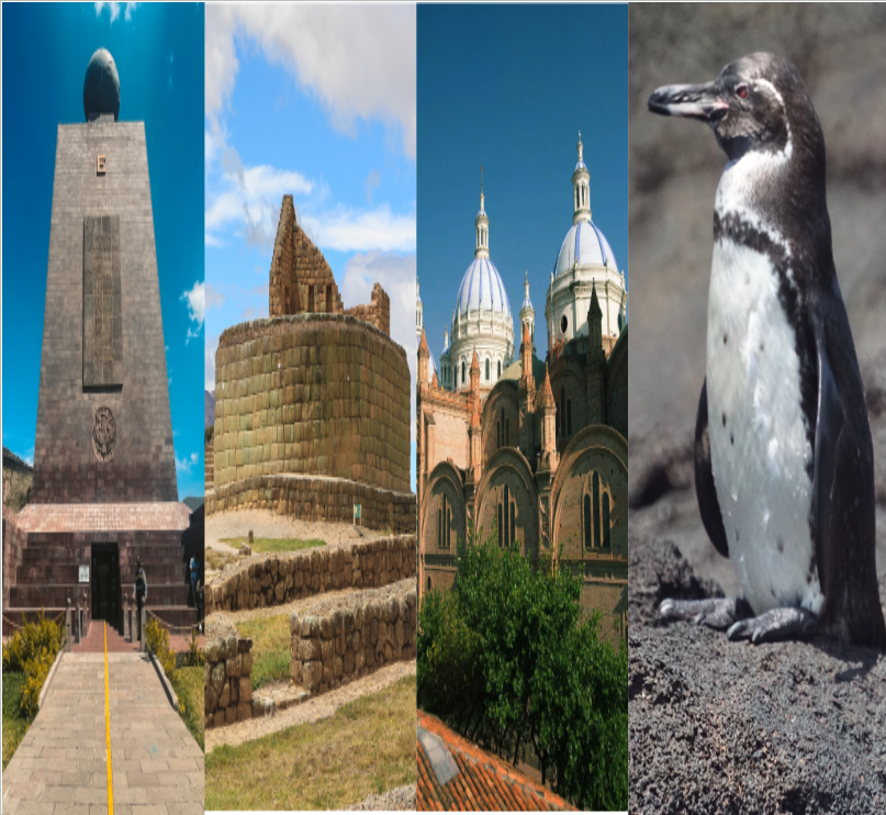 La Exploración Precisa