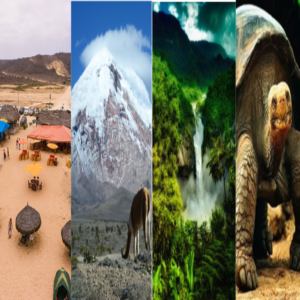 Explorando los 4 mundos en 15 días (Próximamente)