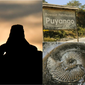 Galapagos & la exploración sureña